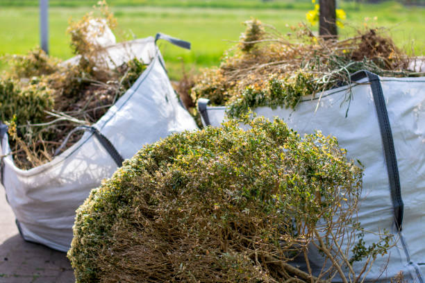 Best Appliance Removal Near Me  in Cuthbert, GA